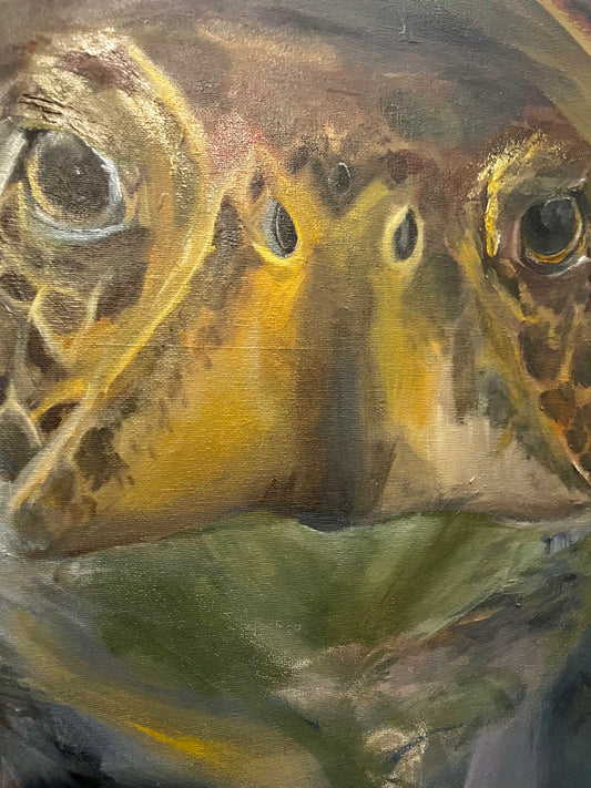 Fella