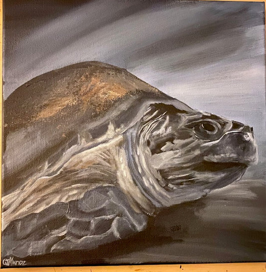 Wisdom beneath the surface